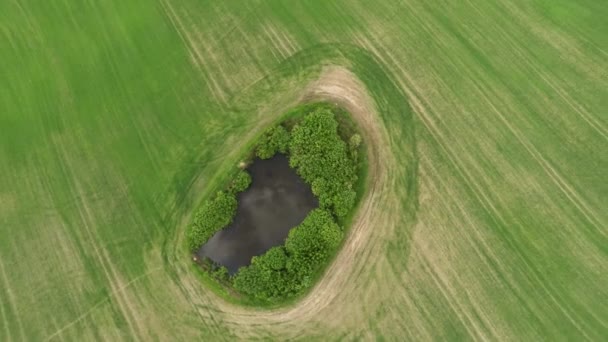 田野里的小湖。湖空中摄影45 — 图库视频影像
