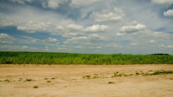 Gebied van de landbouw. Timelapse landbouwgebied. De wolk beweegt snel. 41 — Stockvideo