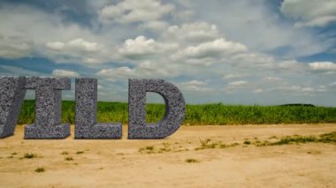 Vahşi doğa. Field yakınındaki büyük yazıt. 46