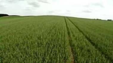 Tarım alanı. Uçuş tarımsal alan. 71