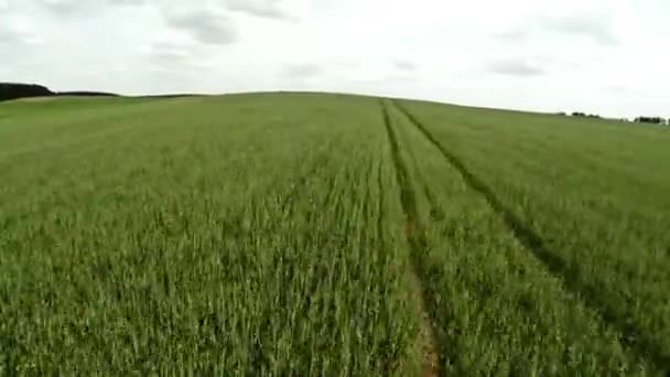 Champ agricole. Survol du champ agricole. 71 ans 