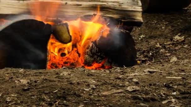 Noche de hogueras. El lanzador arde rápidamente. Time Lapse. 101 — Vídeo de stock