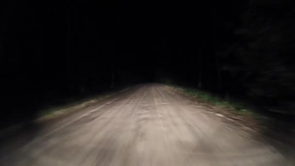 Noche conduciendo sobre grava a través del bosque. 11 — Vídeo de stock