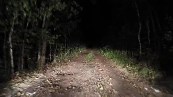Camino del bosque nocturno Cabalgando por la noche. 13. — Vídeo de stock