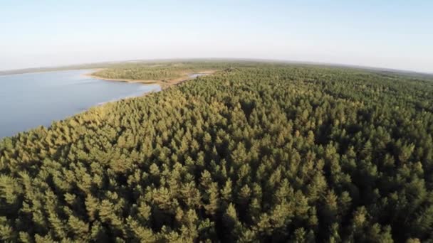 Hava fotoğrafçılığı Belarus yedekte. Göl ve orman üzerinde uçan — Stok video