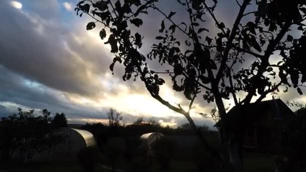 Sunset in the village. Beautiful sky. Apple tree. — Stock video