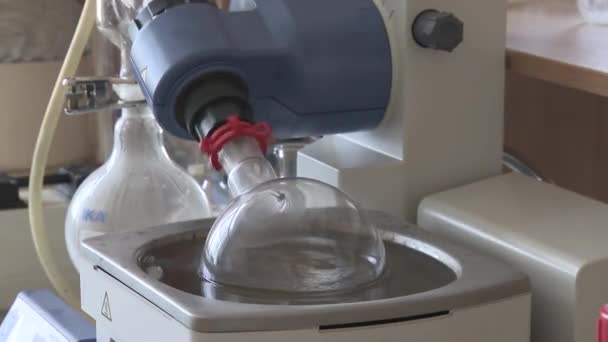 Διεξάγει πειράματα στο εργαστήριο. Παραγωγή χημικών στοιχείων. — Αρχείο Βίντεο