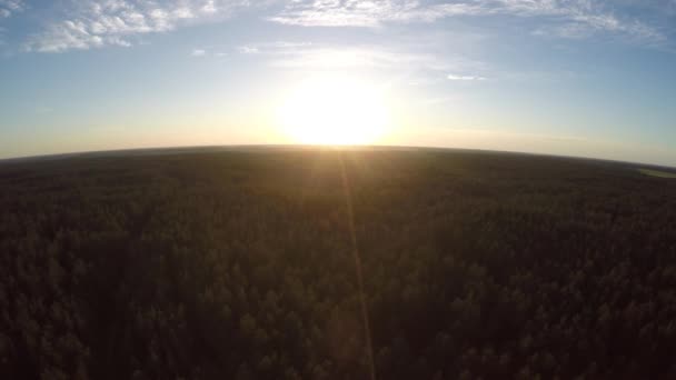 Voando sobre a floresta durante o pôr do sol . — Vídeo de Stock