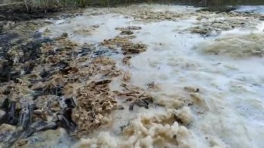 Su kirliliği. Dünyanın rezervuarların kontaminasyonu. Su içme için uygun değildir.