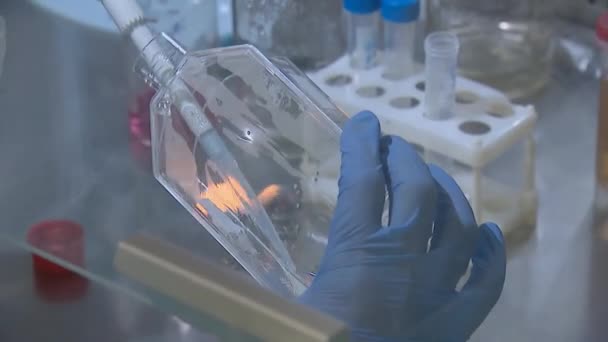 Experimentos de laboratorio. Laboratorio médico. Trabajo con reactivos químicos — Vídeo de stock