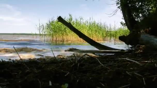 湖のタイムラプス。水の上に速く飛ぶ雲. — ストック動画