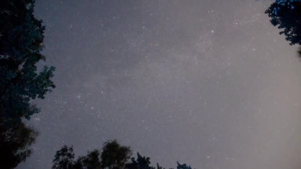 Nattstjärnig himmel, mjölkaktig galax. Galaktisk nebulosa. Time Lapse av stjärnhimlen i en mörk skog. — Stockvideo