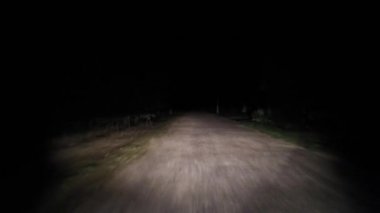 Geceleri ormanda çakıl taşları üzerinde araba sürmek. 12