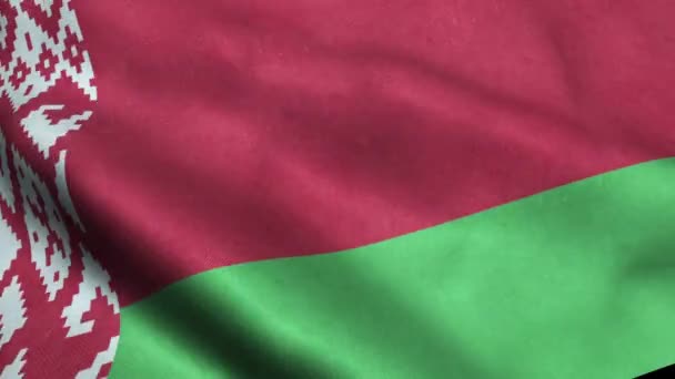 Beyaz Rusya Bayrağı Sallayarak Animasyon Döngü Sorunsuz — Stok video