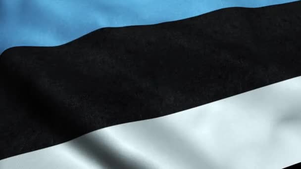 Estonya Bayrağı Sallayarak Animasyon Döngü Sorunsuz — Stok video