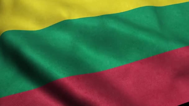 Lithuania Flag Seamless Looping Waving Animation — Stock Video