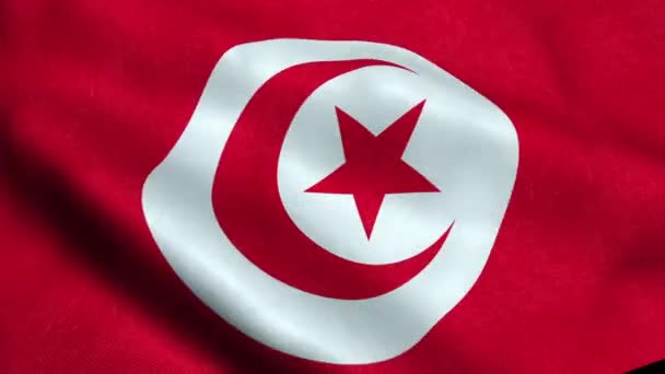 Tunus Bayrağı Sallayarak Animasyon Döngü Sorunsuz — Stok video
