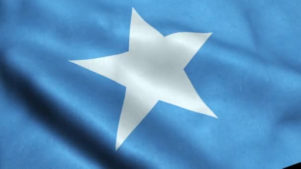 Somali Flag Seamless Looping Waving Animation — Stock Video