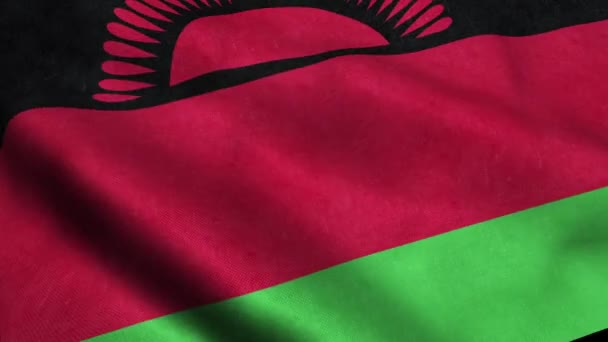 Malawi Bandera Seamless Looping Ondeando Animación — Vídeo de stock