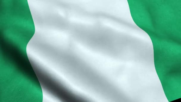 Nigeria Flagge Nahtlose Looping Winkende Animation — Stockvideo