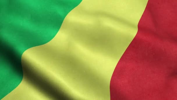 Kongói Zászló Varrat Nélküli Hurkolás Integetett Animáció — Stock videók
