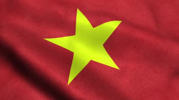 Vietnam Bayrağı Sallayarak Animasyon Döngü Sorunsuz — Stok video
