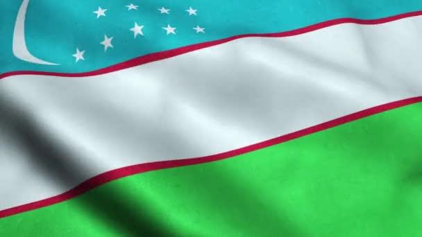 Uzbekistán Bandera Seamless Looping Waving Animation — Vídeos de Stock