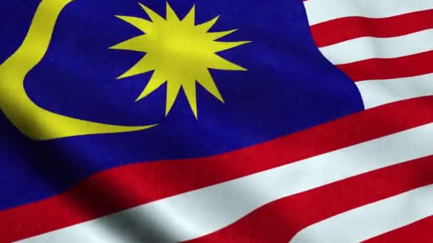 Malaysia Flag Seamless Looping Waving Animation — Stock Video