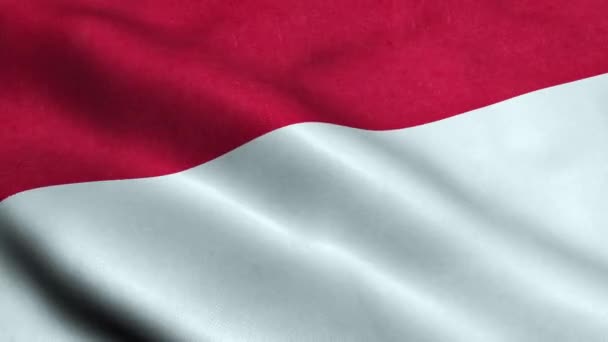 Indonesien Flagga Sömlös Looping Vinkar Animering — Stockvideo