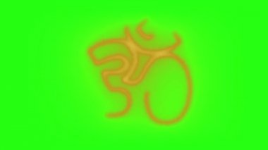 Yeşil ekran arkaplan alevler içinde Hinduism sembol Burning