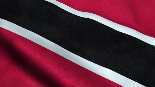 Trynidad Tobago Flaga Bezszwowe Pętli Waving Animacji — Wideo stockowe