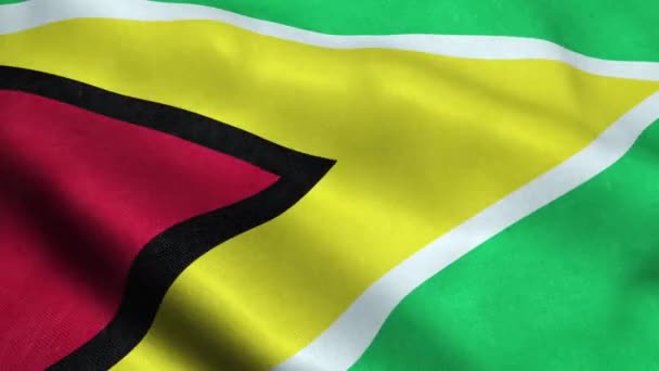 Guyana Zászló Varrat Nélküli Hurkolás Integetett Animáció — Stock videók