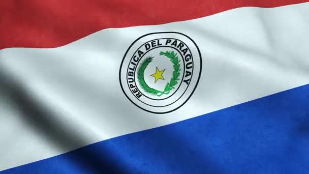 Парагвайский Флаг Бесшовный Цикл Размахивания Анимацией — стоковое видео