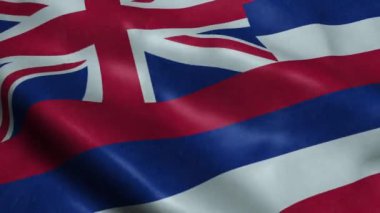 Hawaii Bayrağı Devlet Dikişsiz Döngü Sallayarak Animasyon