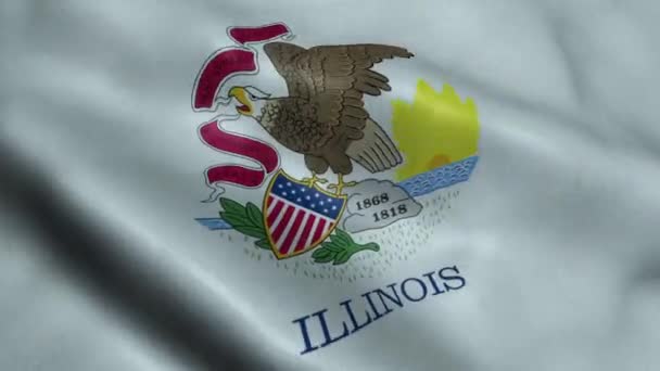 State Illinois Flag Seamless Looping Waving Animation — Stock Video