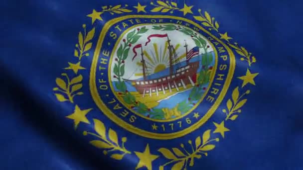 Stan New Hampshire Flag Bezszwowe Pętli Waving Animacji — Wideo stockowe