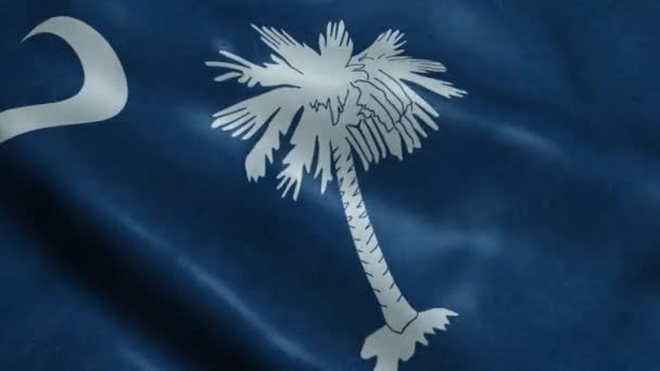 Delstaten South Carolina Flagga Sömlös Looping Vinka Animation — Stockvideo