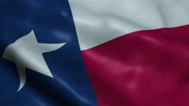 Teksas Eyaleti Bayrağı Dikişsiz Döngü Sallayarak Animasyon