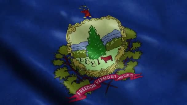 État Vermont Drapeau Sans Couture Looping Waving Animation — Video