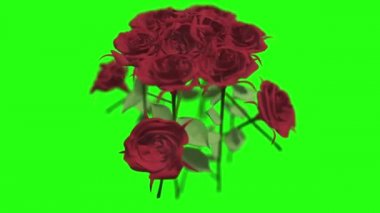 Yeşil Ekran Arka Plan Döngüsünde Çiçek Buketi Dönen