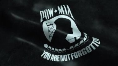 Bayrak Ulusal Birlik Aileler Pow ve Mia Dikişsiz Looping Sallanan Animasyon