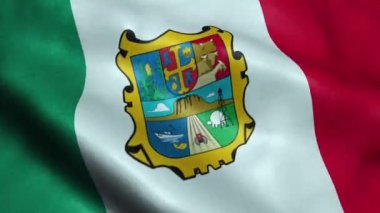 Tamaulipas Dikişsiz Döngü Sallayarak Animasyon Meksika Devlet Bayrağı