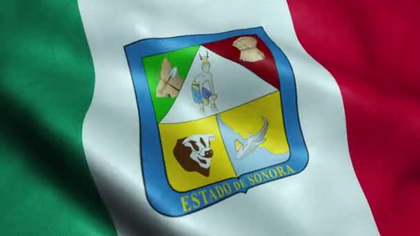 墨西哥索索拉州旗无缝循环摇摆动画 — 图库视频影像