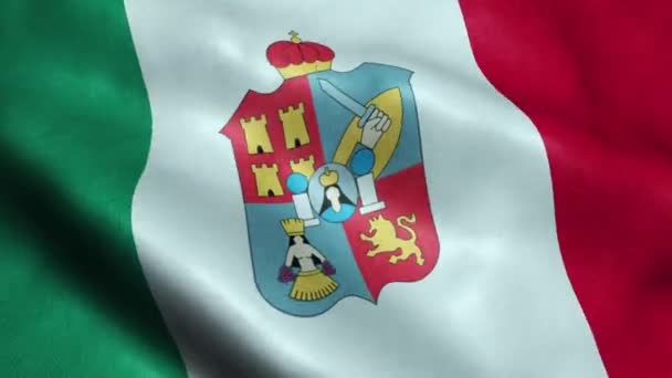 墨西哥塔巴斯科州旗无缝循环摇摆动画 — 图库视频影像