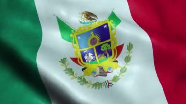 Queretaro Dikişsiz Looping Sallanan Animasyon Meksika Devlet Bayrağı