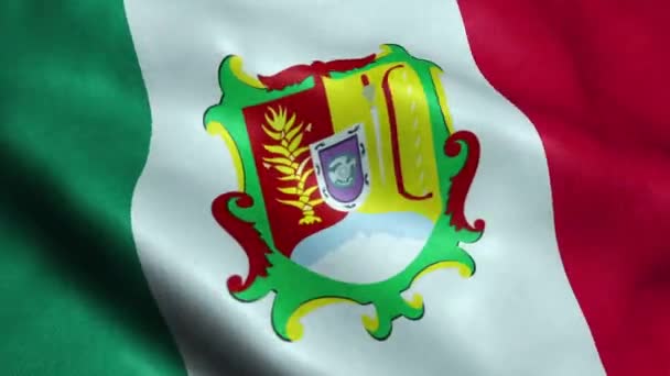 Vlag Van Mexicaanse Staat Van Nayarit Naadloze Looping Zwaaiende Animatie — Stockvideo