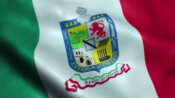 Flagga Mexiko Delstaten Nuevo Leon Sömlös Looping Vinka Animation — Stockvideo