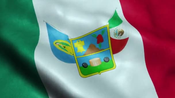 Bandeira Estado México Hidalgo Seamless Looping Waving Animation — Vídeo de Stock