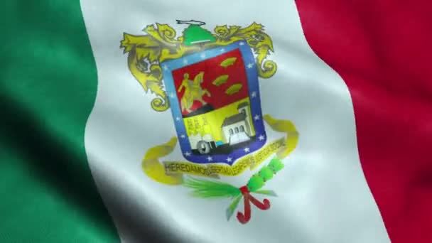 Flag Mexico State Michoacan Seamless Looping Waving Animation — Stock Video