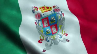 Campeche Kesintisiz Looping Sallanan Animasyon Meksika Devlet Bayrağı